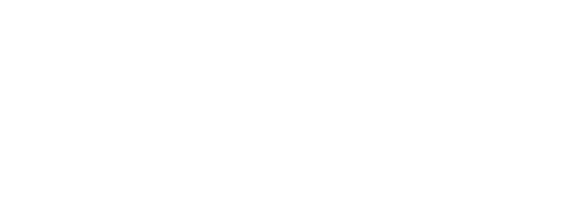 Elite Auction Group LLC